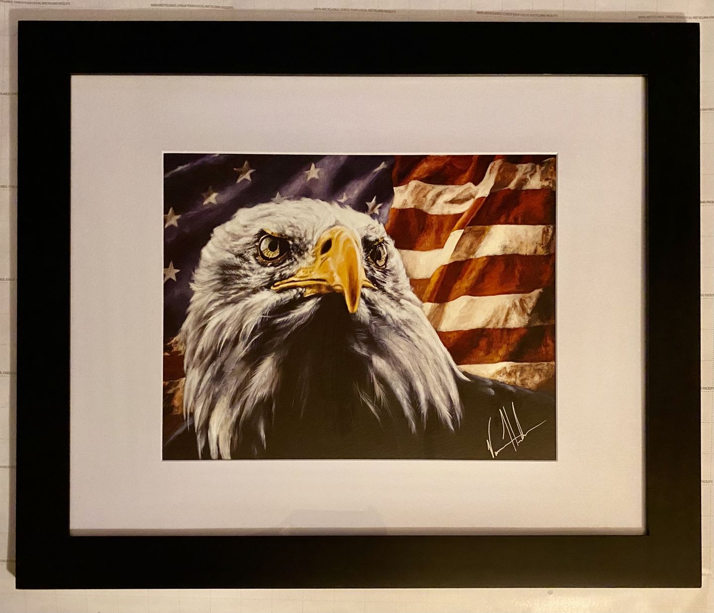 Customer photo review of The Fight for Freedom