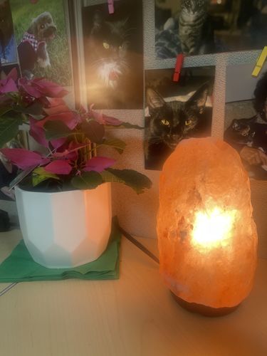 Customer photo review of Original Himalayan Salt Lamp (Large)