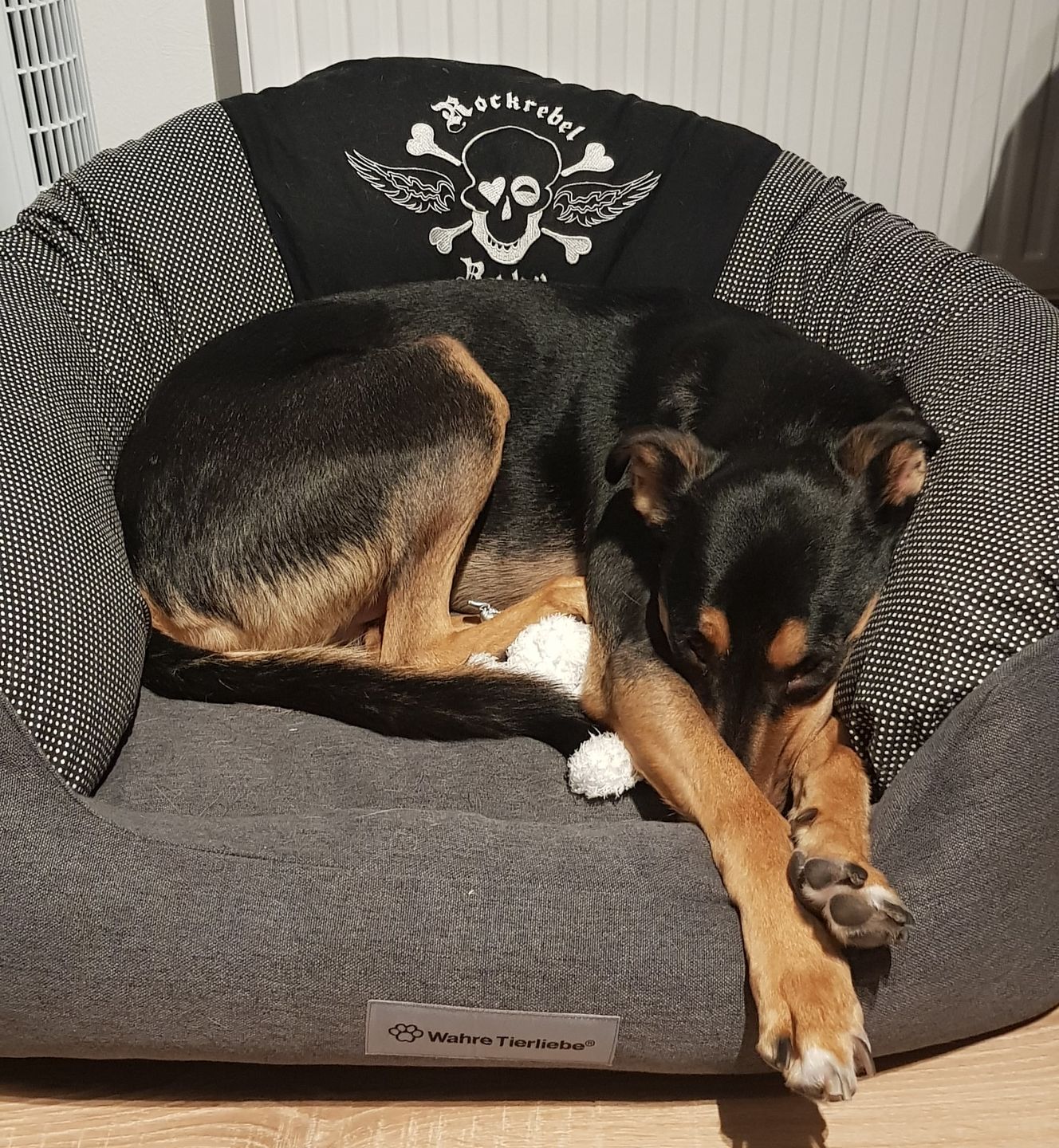 Customer photo review of Orthopädische Hunde Couch