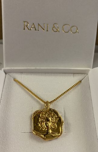 Customer photo review of Medusa Necklace (Gold)