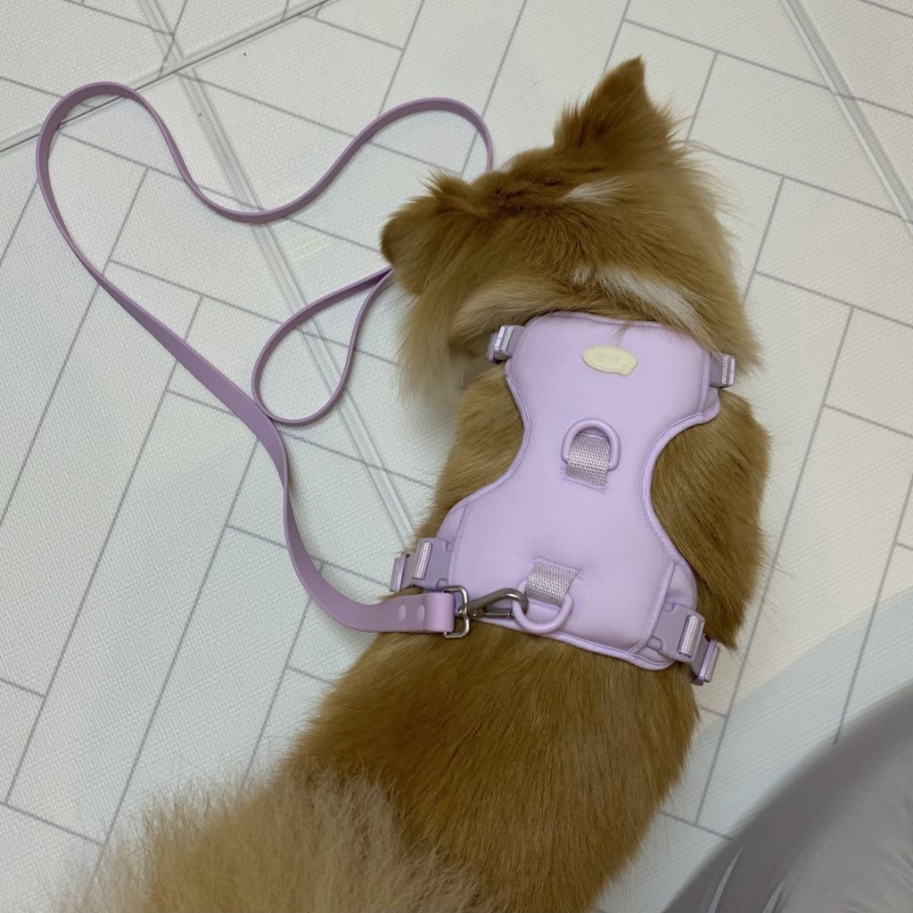 Customer photo review of Leash
