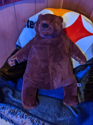 Customer photo review of SKOGGY BEAR