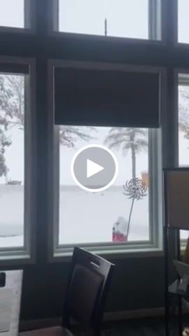Customer video review of SmartWings Motorized Blackout Cellular Shades