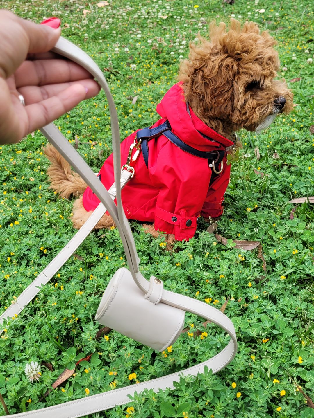 Customer photo review of HARNESS - Navy