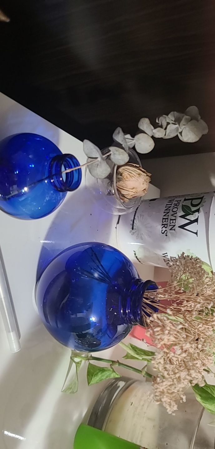 Customer photo review of Bud Vase