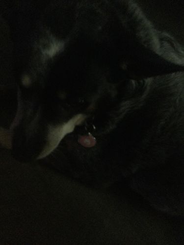 Customer photo review of Pink