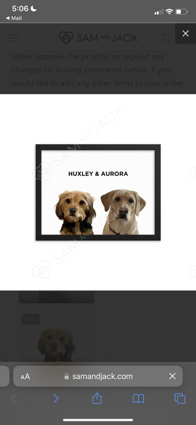 Customer photo review of Custom Pet Portrait - Two Pets (Framed)