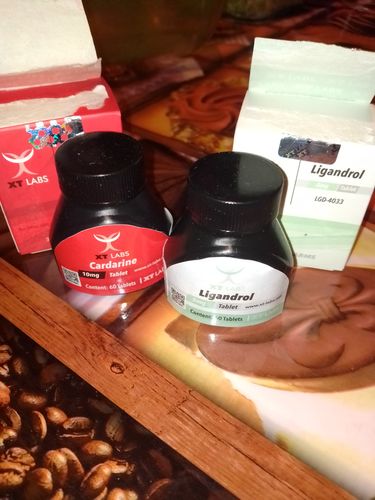 Customer photo review of Ligandrol (LGD-4033) 5mg 60 tabletas