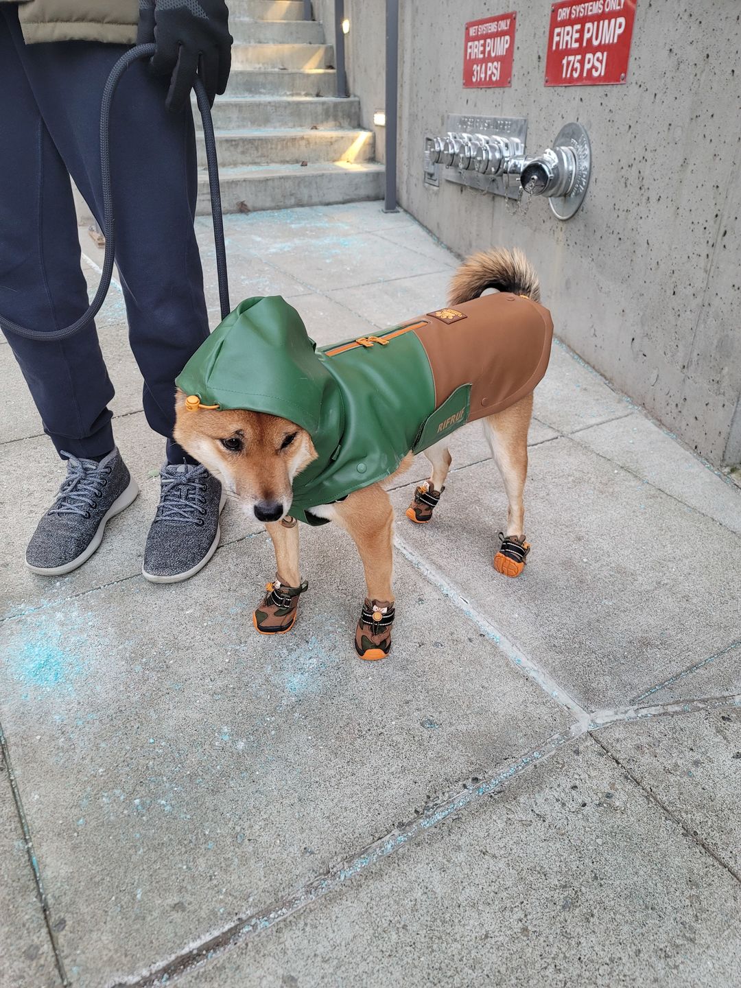 Customer photo review of CLIMAPAW Raincoat and Boots Set