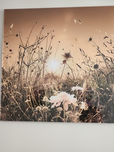 Customer photo review of Acrylic Mounting Panel - 60 x 60 cm