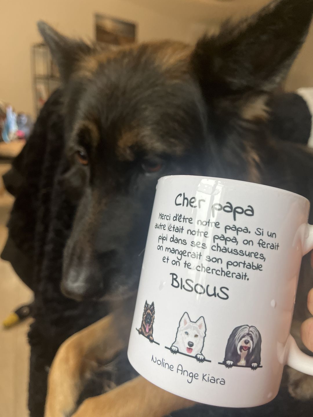 Customer photo review of Cher papa (chien) - Mug personnalisé