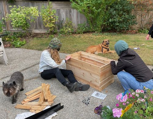 Customer photo review of 18″ x 24″ Raised Garden Bed