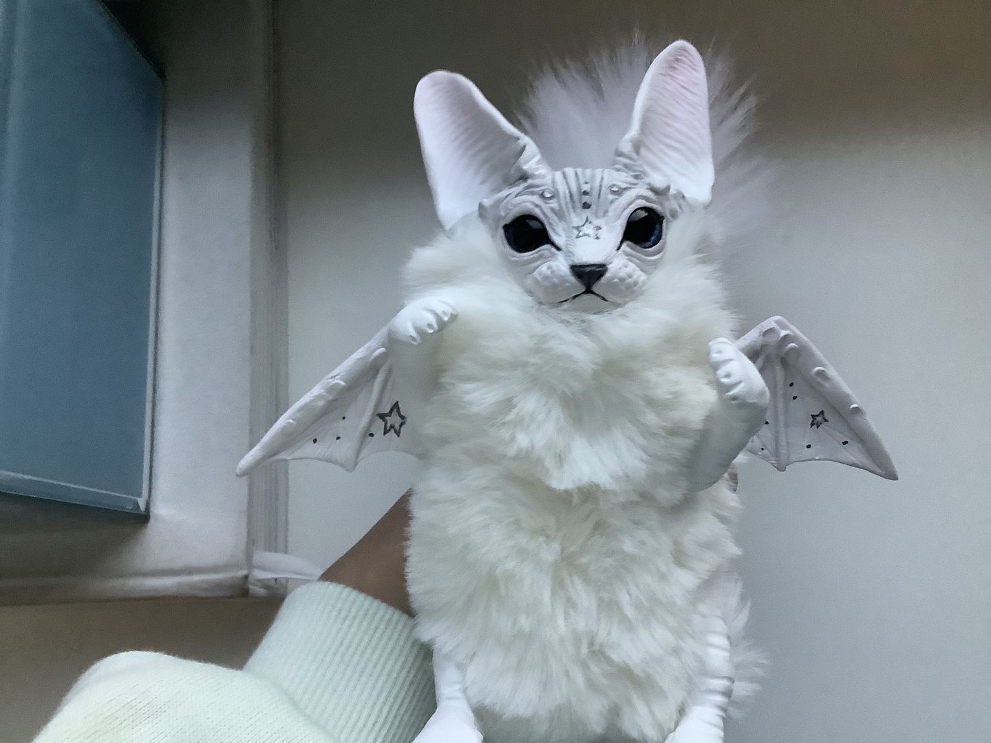 Customer photo review of Baby batcat