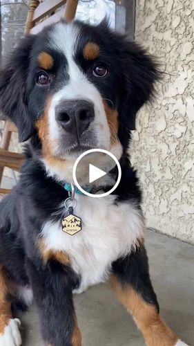 Customer video review of Mountain Silicone