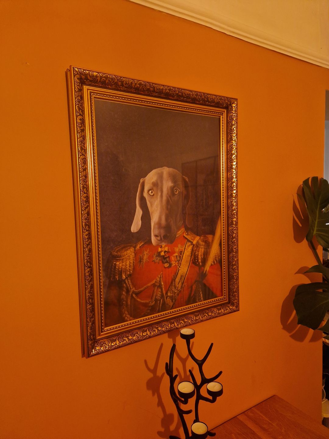 Customer photo review of The Duke: Custom Pet Portrait