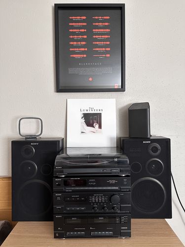 Customer photo review of "Blurryface"