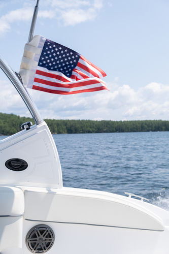 Customer photo review of American Flag