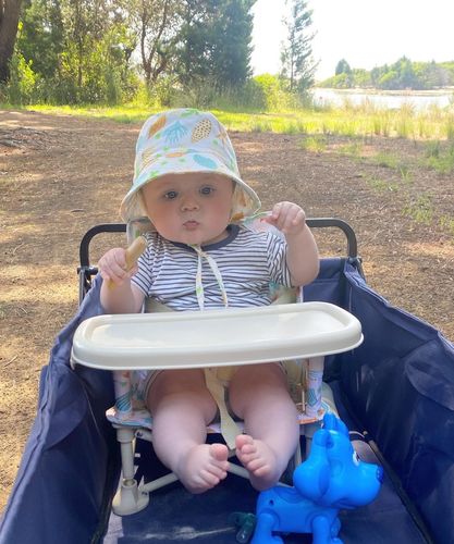 Customer photo review of Sailor baby chair