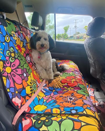 Customer photo review of Floral Dream Back Seat Cover For Dogs