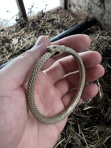 Customer photo review of Ouroboros Bracelet