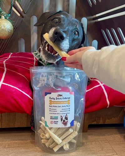 Customer photo review of 4 Inch Cow Tails for Dogs