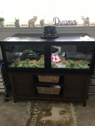 Customer photo review of XT4 BIO (48Lx24Dx24H) - STACKABLE