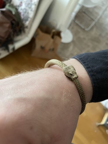 Customer photo review of Ouroboros Bracelet