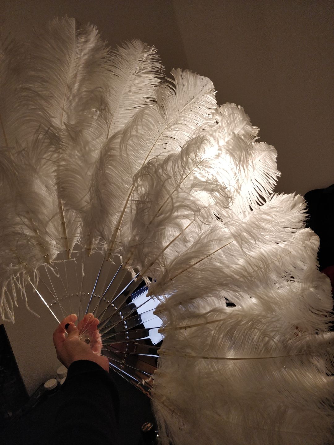 Customer photo review of White single layer Ostrich Feather Fan Full open 180 ° with Travel leather Bag