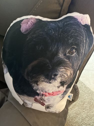 Customer photo review of Create A Custom Dog Pillow