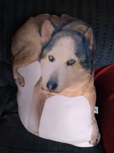 Customer photo review of Create A Custom Animal Pillow