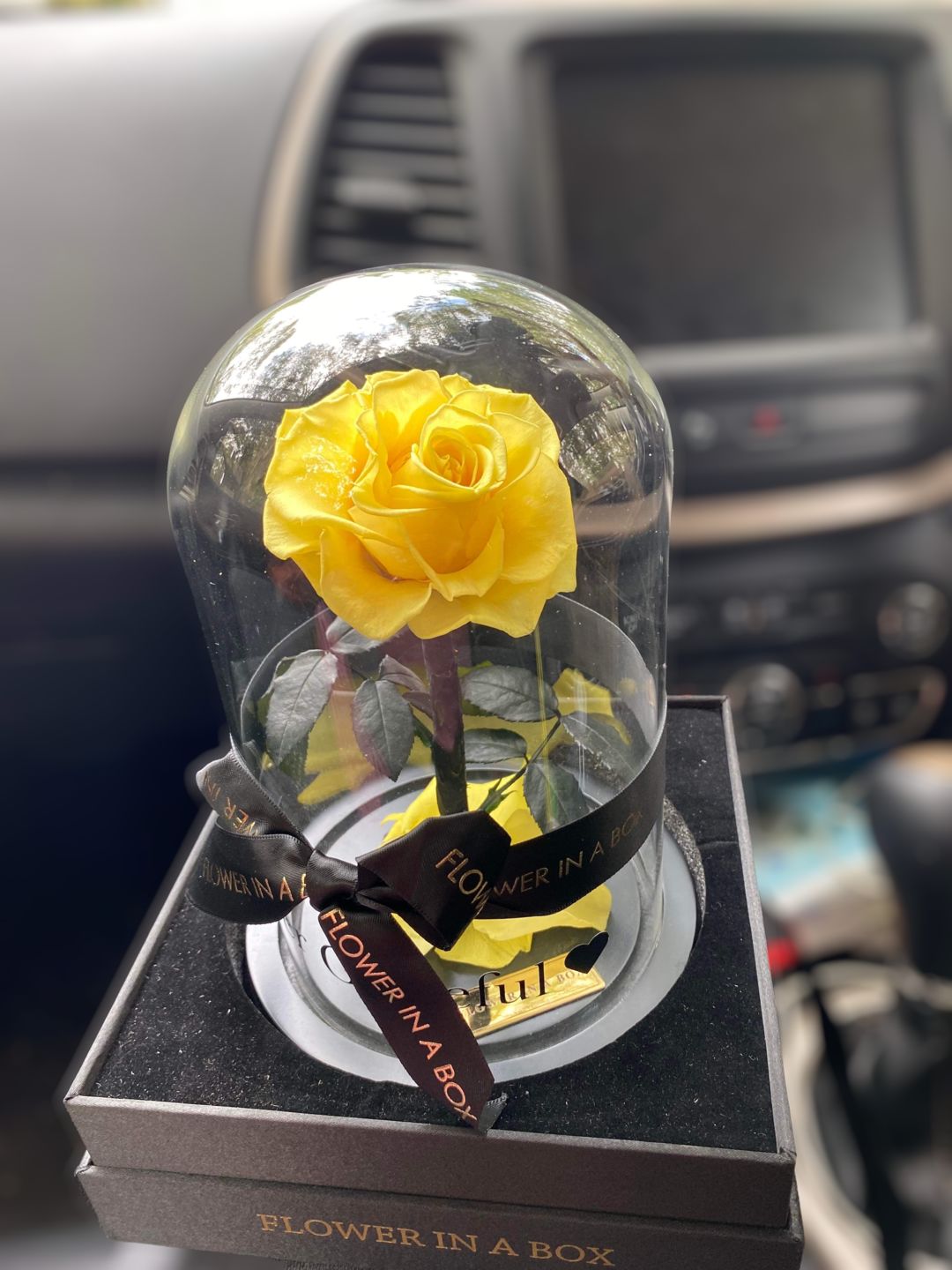 Customer photo review of Enchanted Rose Mini - YELLOW