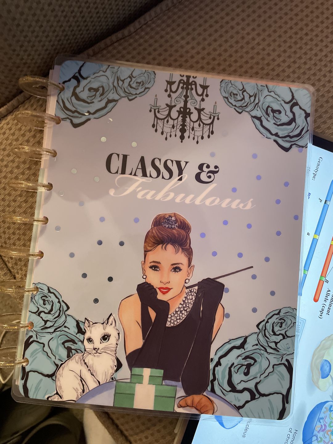 Customer photo review of Breakfast at Tiffany's Planner Cover