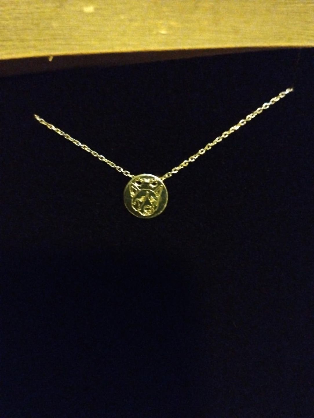 Customer photo review of Custom Paw Print Necklace