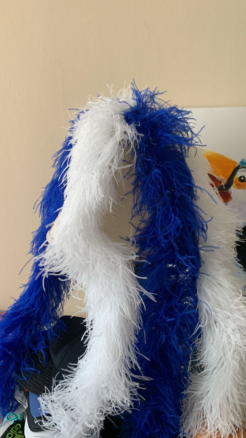 Customer photo review of Ostrich Feather Boa