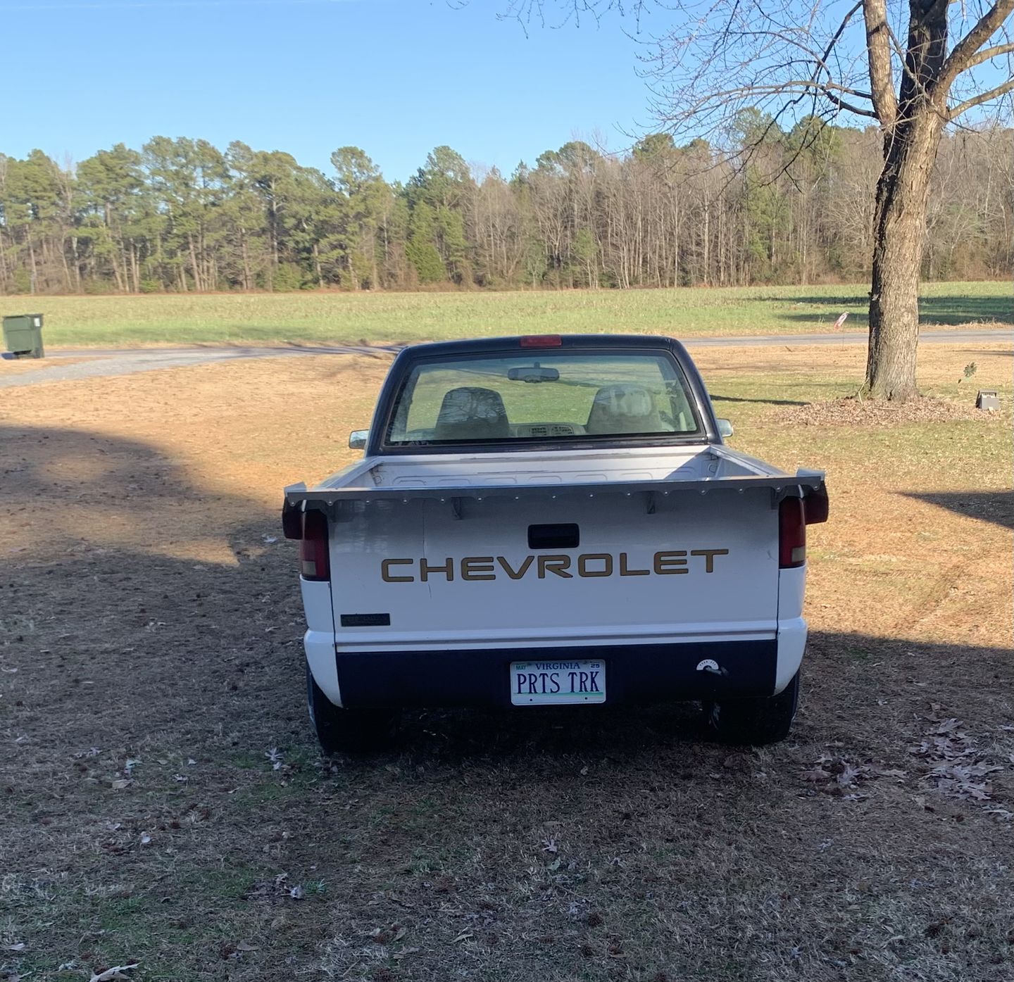 Customer photo review of Motion Raceworks 1994-04 2nd Gen S10 / Sonoma 15" Strutless Drag Wing 31-120