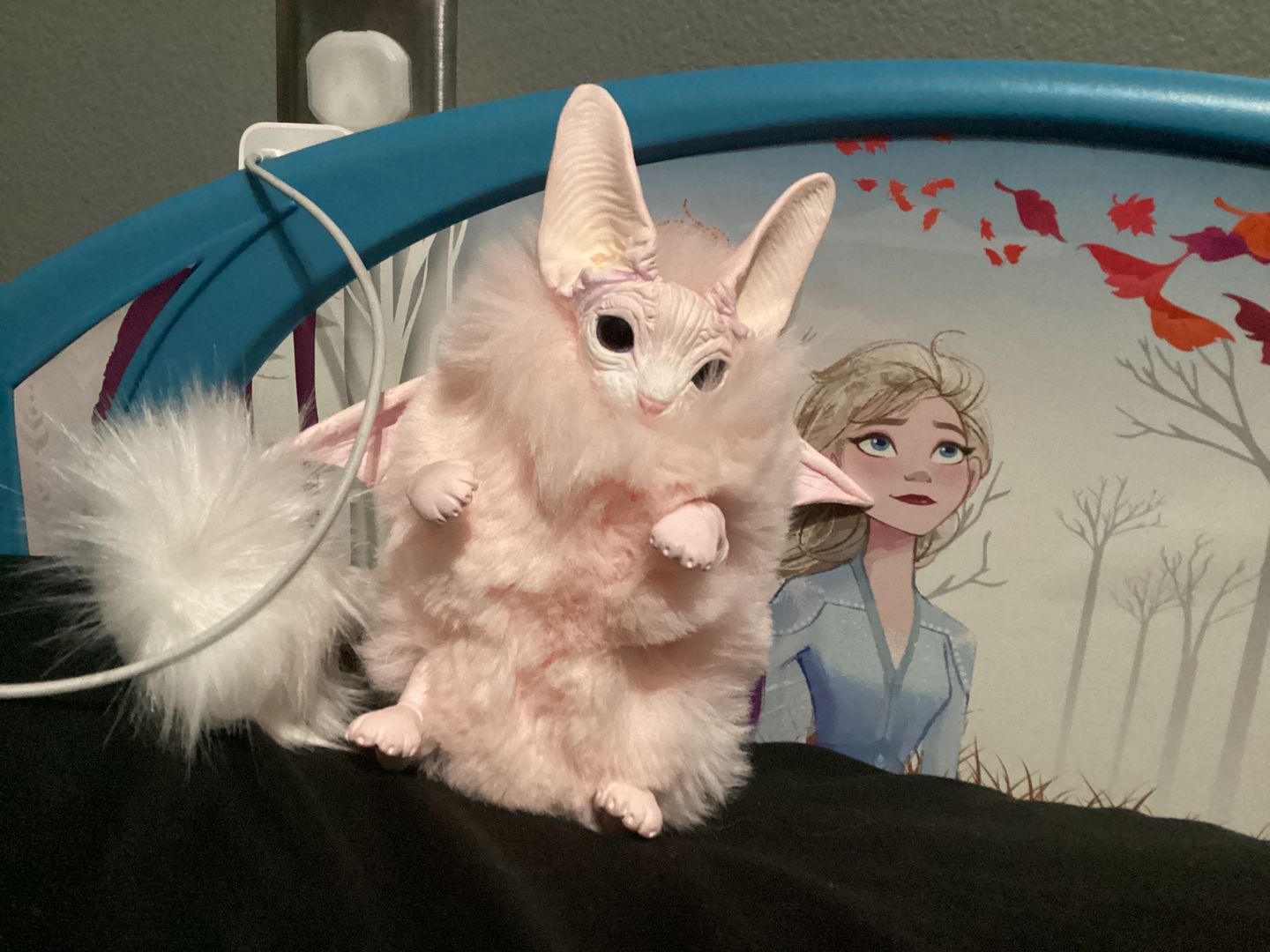 Customer photo review of Baby batcat