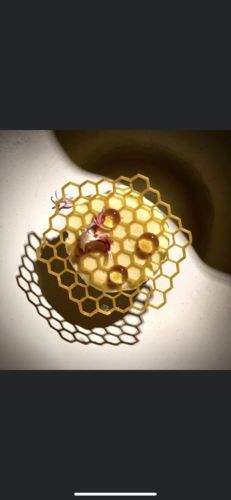 Customer photo review of CORNFLOWER PETALS - Freeze Dried Edible Petals