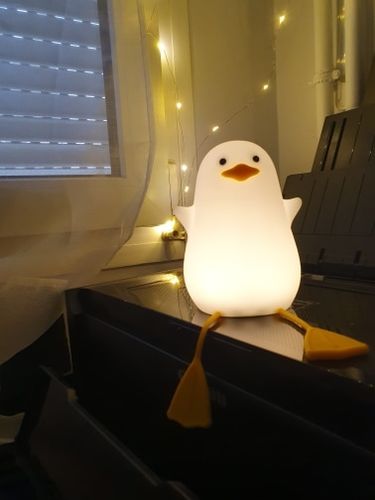 Customer photo review of Daffy Seagull Night Light