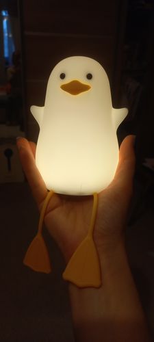 Customer photo review of Daffy Seagull Night Light