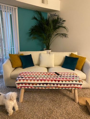 Customer photo review of Feathers Sofa