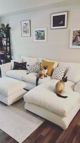 Customer photo review of Feathers Sectional