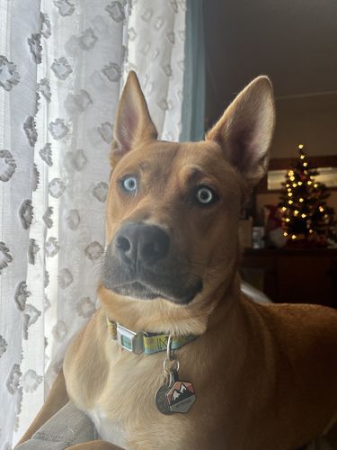 Customer photo review of Explorer Silicone