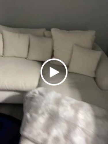 Customer photo review of Feathers Sectional