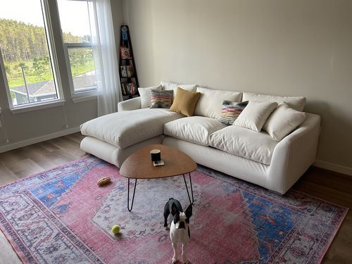 Customer photo review of Feathers Sectional