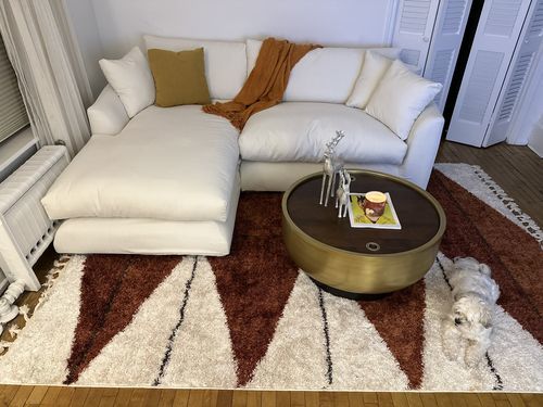 Customer photo review of Feathers Sectional