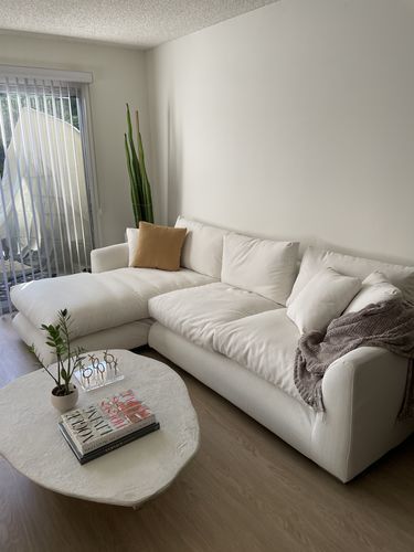 Customer photo review of Feathers Sectional