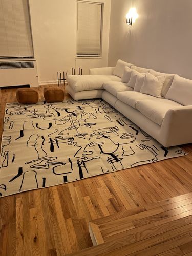 Customer photo review of Feathers Sectional