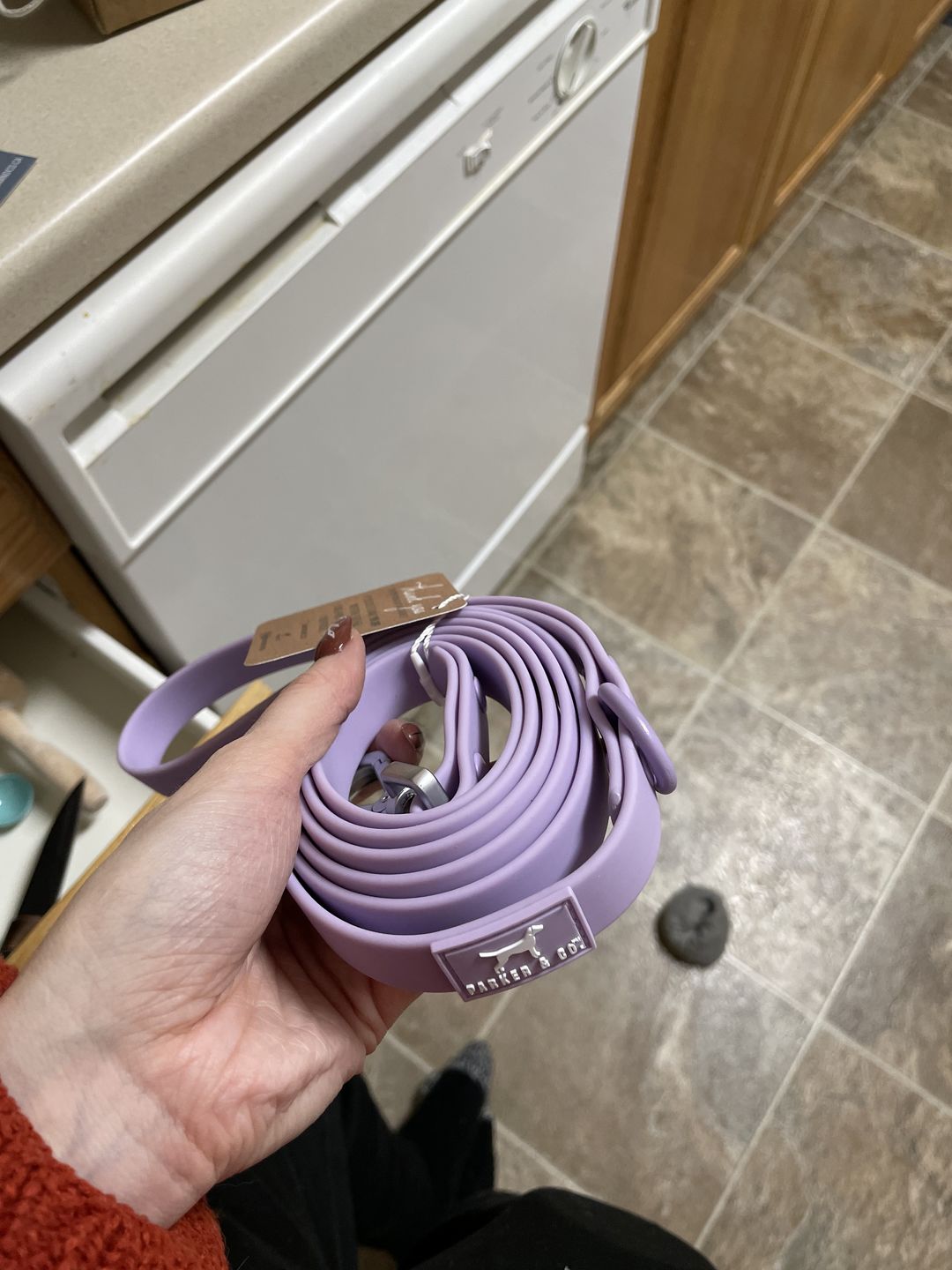 Customer photo review of Solace Weatherproof Leash