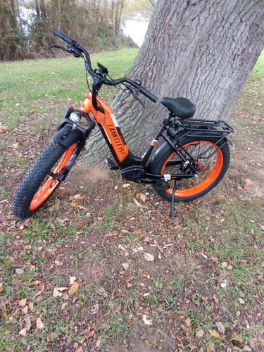 Customer photo review of Lankeleisi MG600 Plus 1000W 26" Fat Bike E-Mountain Bike 40km/h 150km 20Ah Samsung Battery [ Pre-order ]