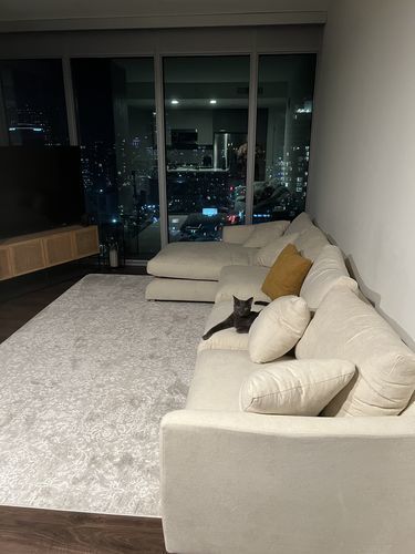 Customer photo review of Feathers Sectional